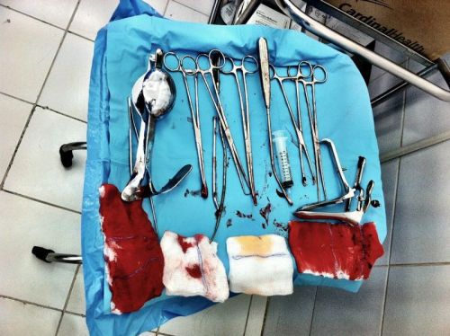 Used Surgical Tools, Post Surgery 