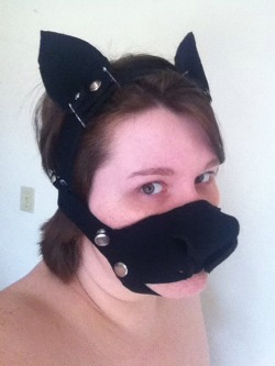 cookiethepup:  I think I accidentally made a kitty mask.  Just