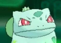 superior-of-the-inbetween:  Bulbasaur is judging you