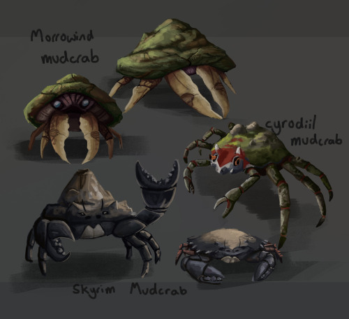 allthingstamriel:Exploration of some of the various mudcrabs across the provinces of Morrowind, Cyro