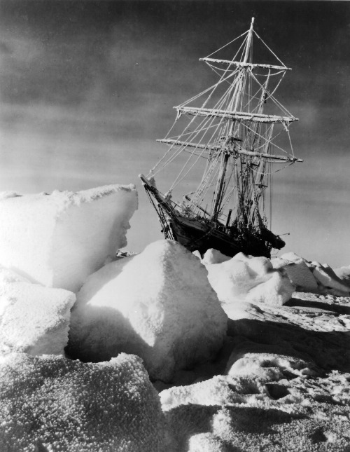 onceuponatown: The Endurance, fatally stuck in drifting ice for 3 months until she finally sank into