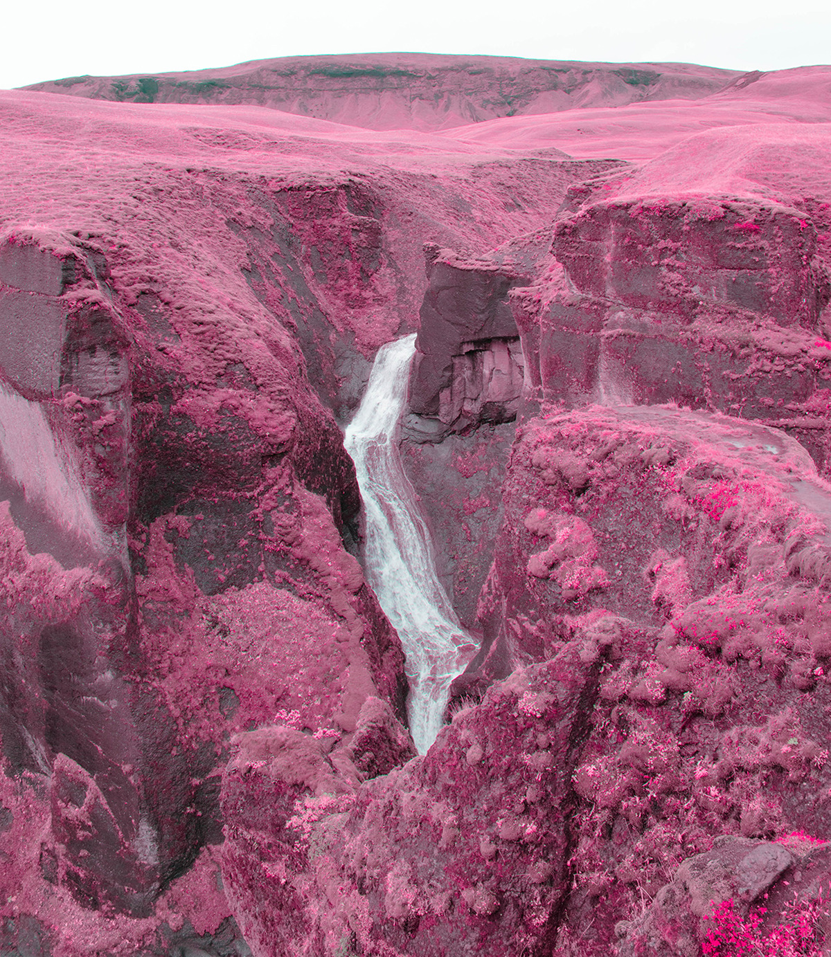 nevver: Return to Magenta, Al Mefer