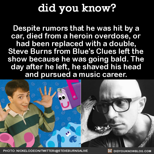 did-you-kno:  Despite rumors that he was hit by a  car, died from a heroin overdose, or  had been replaced with a double,  Steve Burns from Blue’s Clues left the  show because he was going bald. The  day after he left, he shaved his head  and pursued