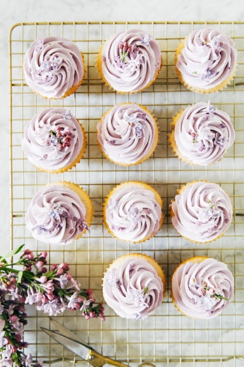 guardians-of-the-food:Ginger Almond Cupcakes with Lilac Buttercream Frosting