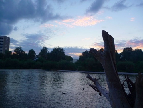 lintwists:this place is really nice at night  daytime 2 but naked ppl eeverywhere feel weird ta