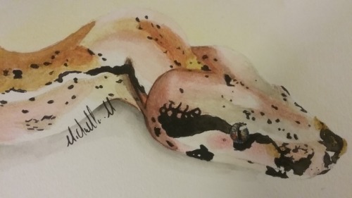 almightyshadowchan:snakequeen21:A water color painting of a Brimstone boa constrictor.Wow, you captu