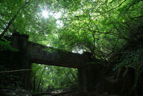 90377: Exploring Wales by Kieran Wakefield on Flickr.