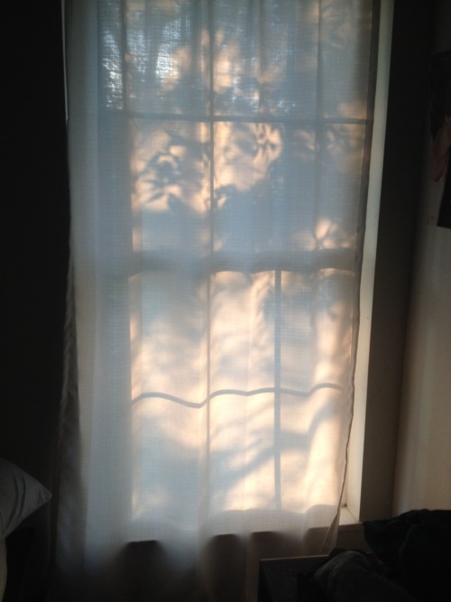 matissechick:The light in my room did a thing