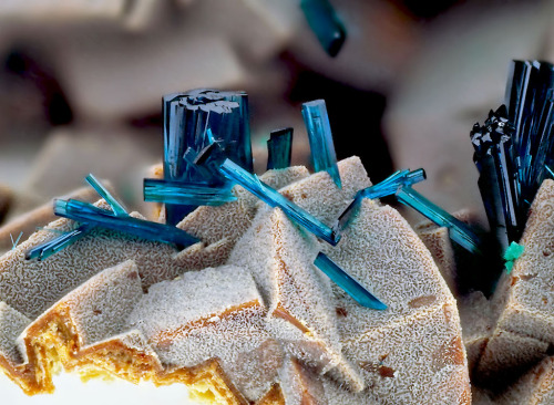 ifuckingloveminerals:  Clinoclase Clara Mine, Rankach valley, Oberwolfach, Wolfach, Black Forest, Baden-Württemberg, Germany