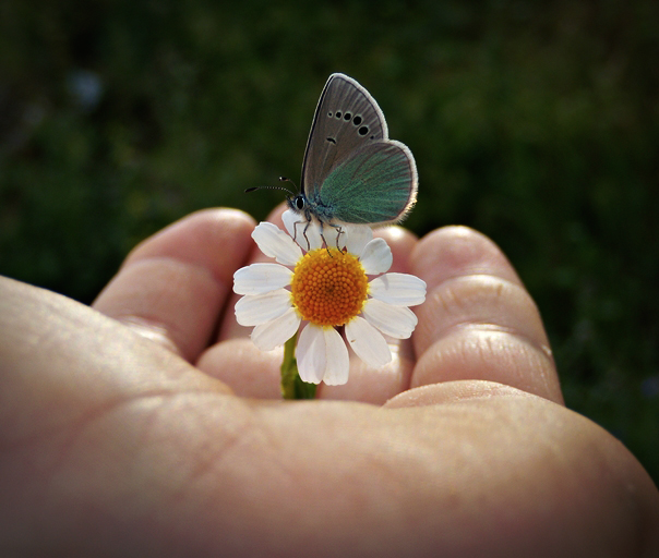 nubbsgalore: photos by mehmet karaca  
