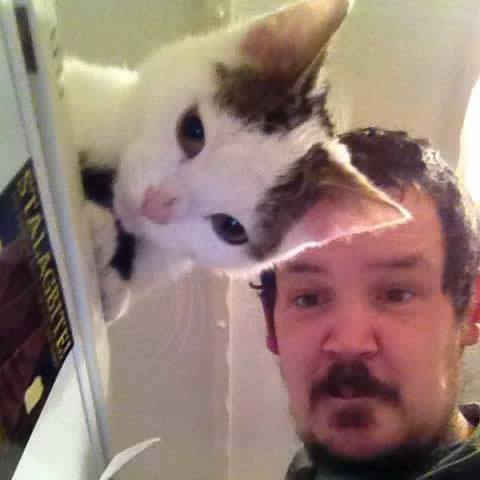 lolfactory:  This is the Perfect Combination of Cat’s Ear and Man’s Hairstyle