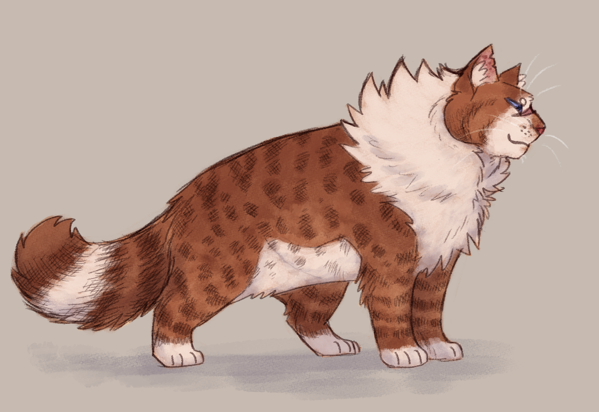 Lost Warrior Cats Facts — finchwingart: An update on that Bluestar