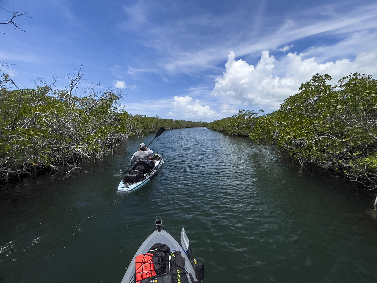 3efaecd55ab9c36a3a94a7e0d63768fafdcb05ea