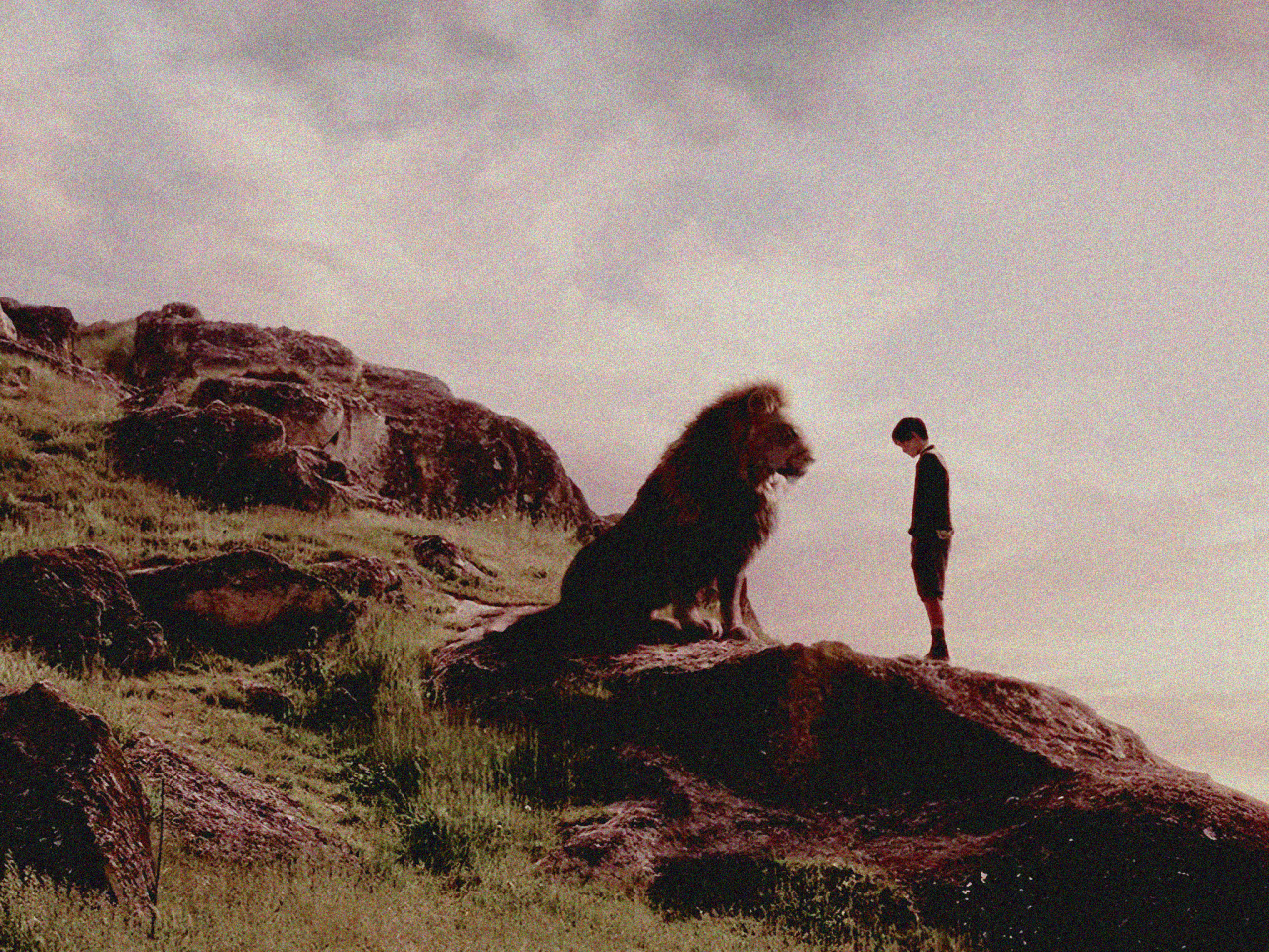 Quote to Remember: THE CHRONICLES OF NARNIA: THE LION, THE WITCH AND THE  WARDROBE [2005]