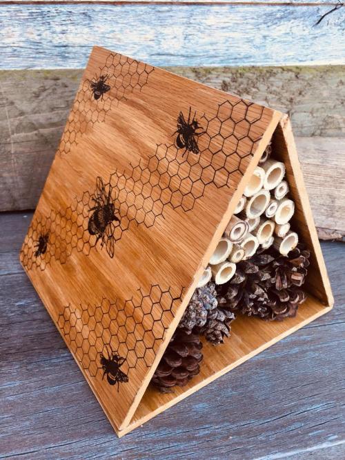 Large Insect Box //CleverBushcraft