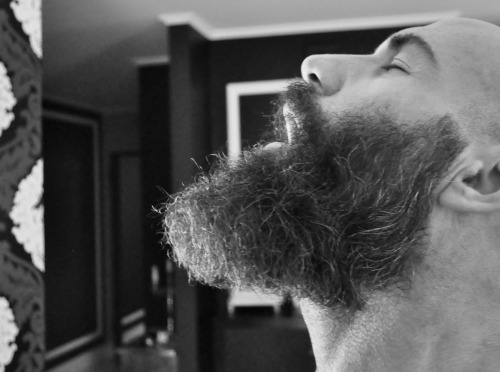 memybeardmyself:  me my beard & myself 
