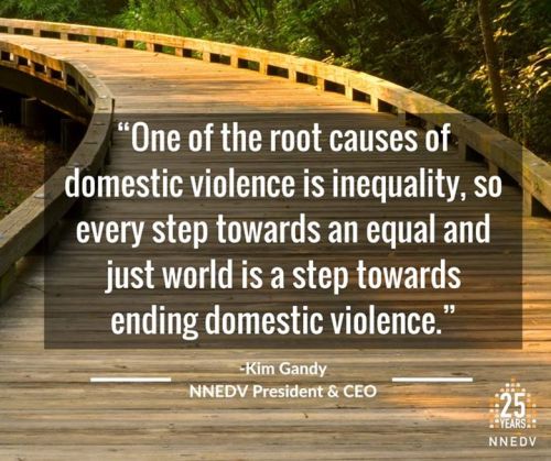 Source: The National Network to End Domestic Violence  