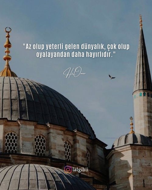 “Az olup yeterli gelen dünyalık, çok olup oyalayandan daha hayırlıdır.“ . . . . . . . @lalgibi