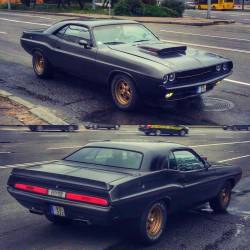 Muscle Cars Only