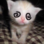 tinyymenace