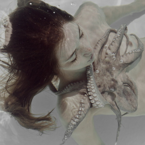 martabevacquaphotos:marta bevacqua photography