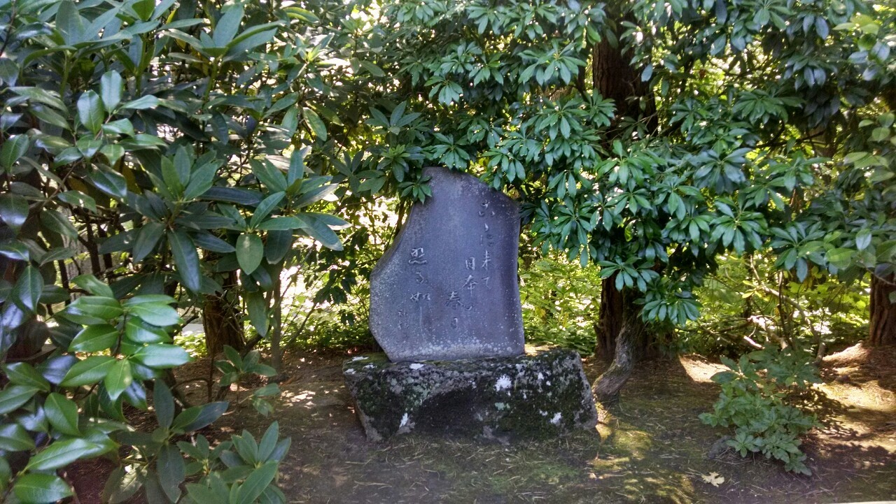 txepvi:  Some more of the Japanese gardens!