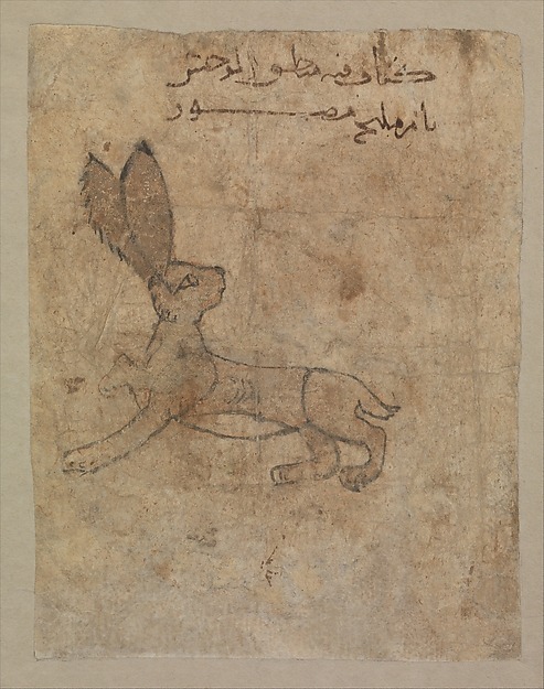 Lion (recto) and a hare (verso) - Folio from a BestiaryObject Name: Folio from an illustrated manusc