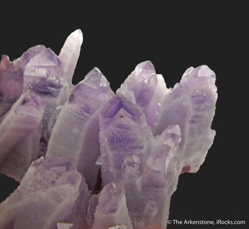Sex hematitehearts:  Amethyst with Phantoms Coated pictures