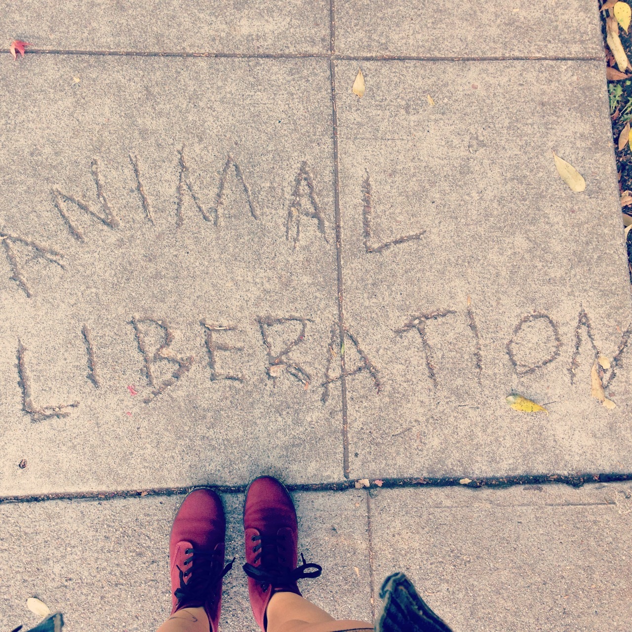 FreeLivingInAnarchy