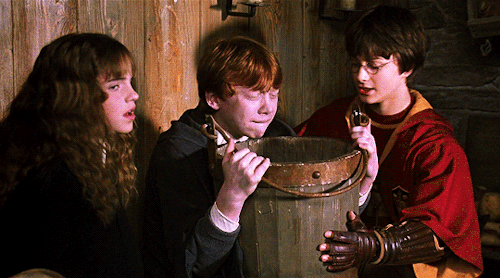 allsonargent: The Golden Trio in every movie » The Chamber of Secrets
