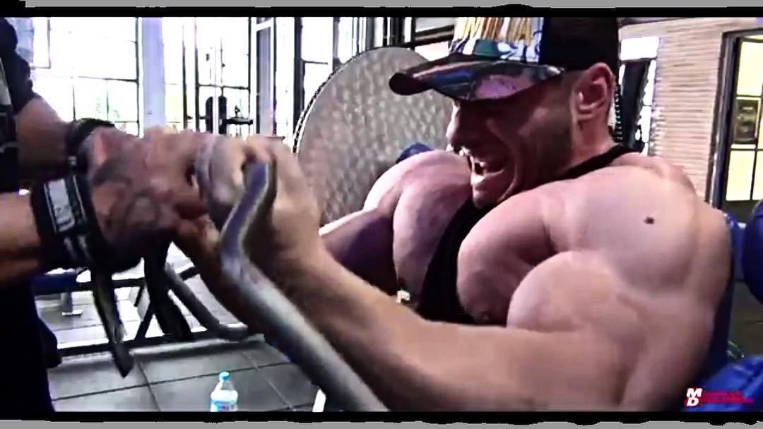 Musculos, Roids y Osos