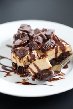 boozybakerr:  Deep Dish Peanut Butter Cheesecake