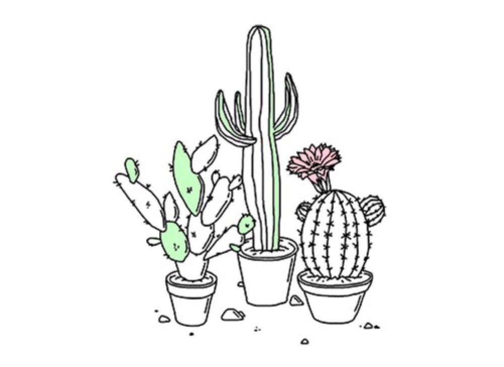 raihny:  🌵 