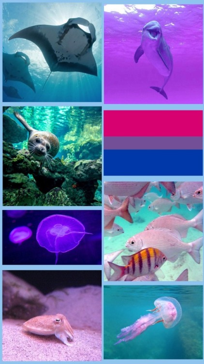 lgbtplusaesthetic: lock screen sized bisexual marine animal moodboard for @boobear-is-a-twink -Mod L