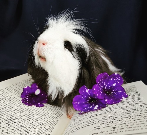 p-nutwithapeeve: hazelnut-and-company: 30 June 2018 - What’s better than flowers and books? //