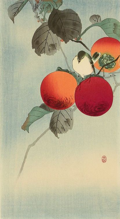 beifongkendo:Nuthatch in persimmon tree, by Ohara Koson (ca. 1910).