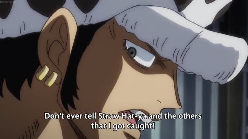 One Piece Episode 951 Explore Tumblr Posts And Blogs Tumgir One Piece Episode 951 Explore Tumblr Posts And Blogs Tumgir