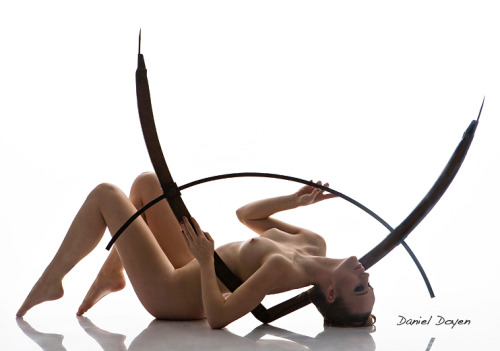 Sex delia-rowena:  photo: Daniel Doyen  pictures
