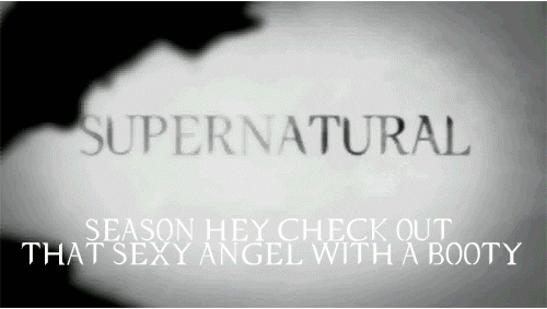 bandsandfangs:  princessakane:  SUPERNATURAL SEASON RENAME inspired by this x  OMFG