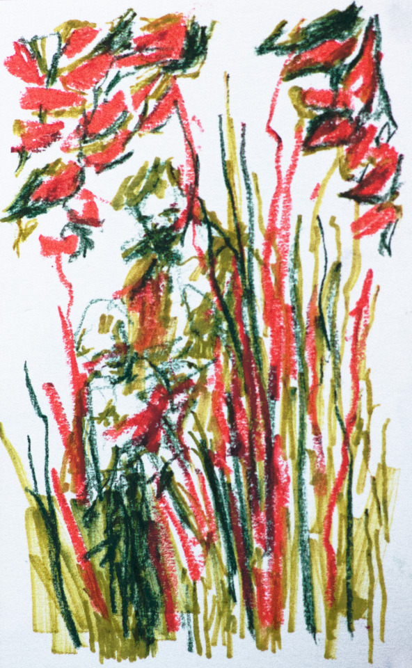8/100 There Was A Child With His Parent Playing Hide And Sick In The Bushes (actually Almost In The Tall