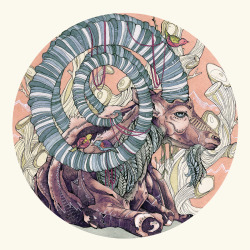 eatsleepdraw:    Nubian Ibex by Faryn Hughes Tumblr II Facebook  