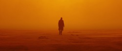 ozu-teapot:  Blade Runner 2049 | Denis Villeneuve