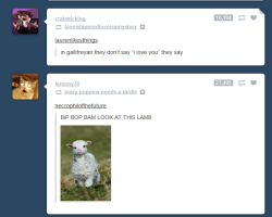 the-dreamer-has-to-go:  yourestupidstupid:  this made me laugh for a solid 10 minutes  And I suppose… if it’s my last chance to say it… Rose Tyler…BIP BOP BAM LOOK AT THIS LAMB 