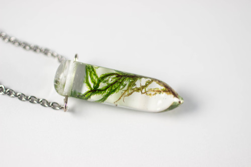 mossofthewoodsjewelry: Hey folks!I have a number of moss necklaces available left over from the fair