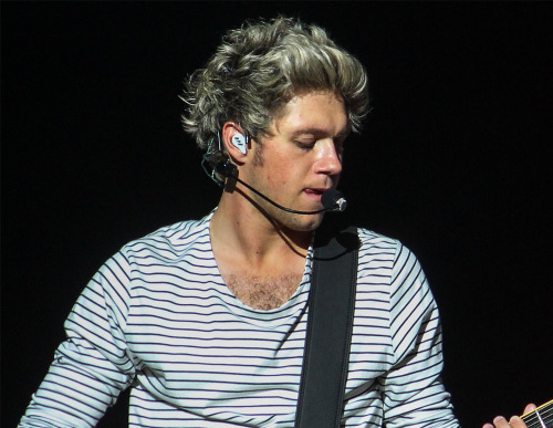 niallschestrug:  niall // montreal 5 september 2015 
