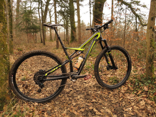 ds-12: Specialized Camber Expert EVO Carbon 29” (by 74-ant-ma)