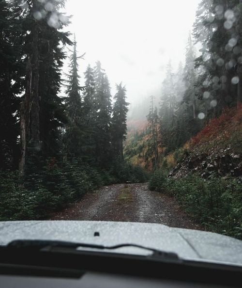 youngadventure:  wanderlog:Cannon beach, Oregon. Photo: @a_nunley #wanderlog #nature #landscape #scenery #explore #travel #adventure #cannon #road #forest #foggy photography, nature, and the northwest