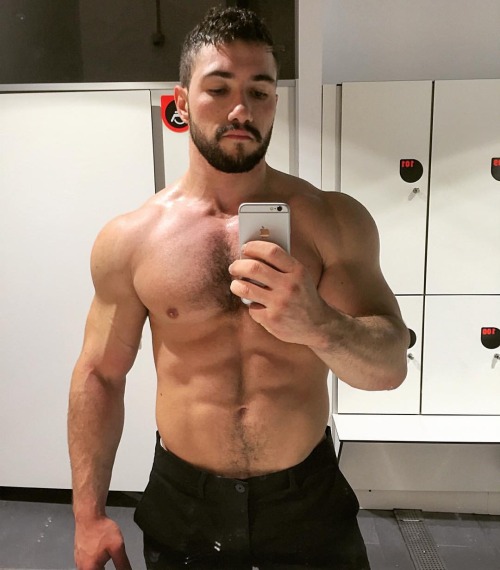 Dailyhunks