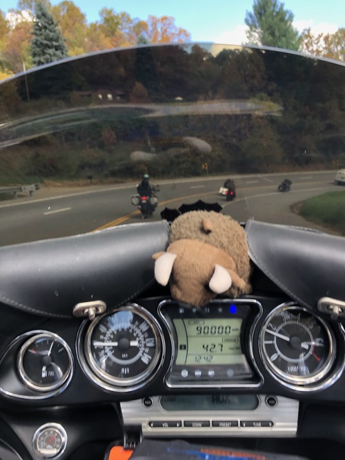 two-wheeled-therapy