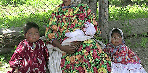 indigenous-maya:Rarámuri people, also known as the Tarahumara, are an indigenous people located in n